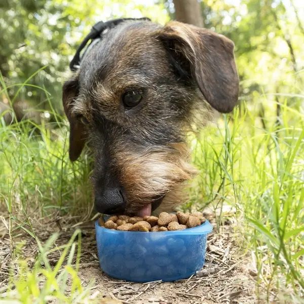 bouteille-avec-distributeur-d-eau-et-d-aliments-pour-animaux-2-en-1-pettap-innovagoods_135351 (2).webp