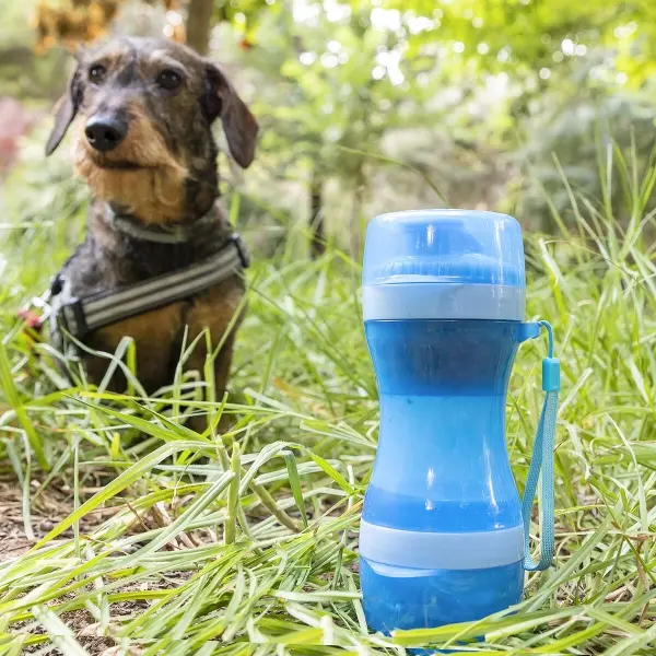 bouteille-avec-distributeur-d-eau-et-d-aliments-pour-animaux-2-en-1-pettap-innovagoods_135351.webp