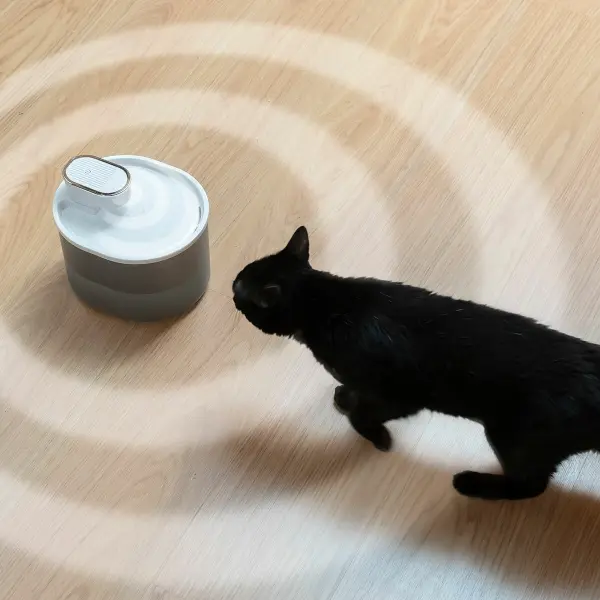 fontaine-pour-chats-rechargeable-avec-detecteur-refopet-innovagoods_747906 (2).webp