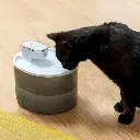 fontaine-pour-chats-rechargeable-avec-detecteur-refopet-innovagoods_747906 (3).webp