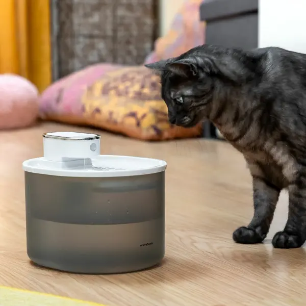 fontaine-pour-chats-rechargeable-avec-detecteur-refopet-innovagoods_747906.webp
