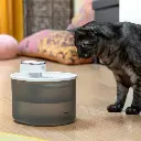 fontaine-pour-chats-rechargeable-avec-detecteur-refopet-innovagoods_747906.webp