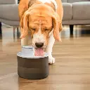 fontaine-pour-chats-rechargeable-avec-detecteur-refopet-innovagoods_747906 (5).webp