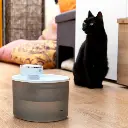 fontaine-pour-chats-rechargeable-avec-detecteur-refopet-innovagoods_747906 (7).webp