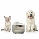 fontaine-pour-chats-rechargeable-avec-detecteur-refopet-innovagoods_747906 (9).webp