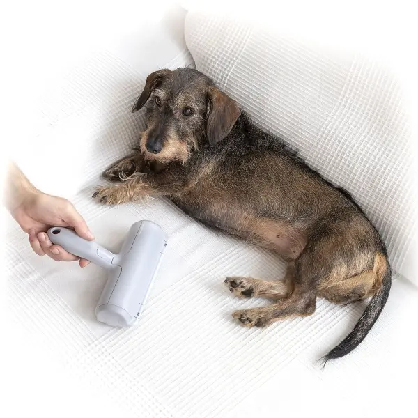rouleau-anti-poil-d-animaux-rellair-innovagoods_458322 (5).webp